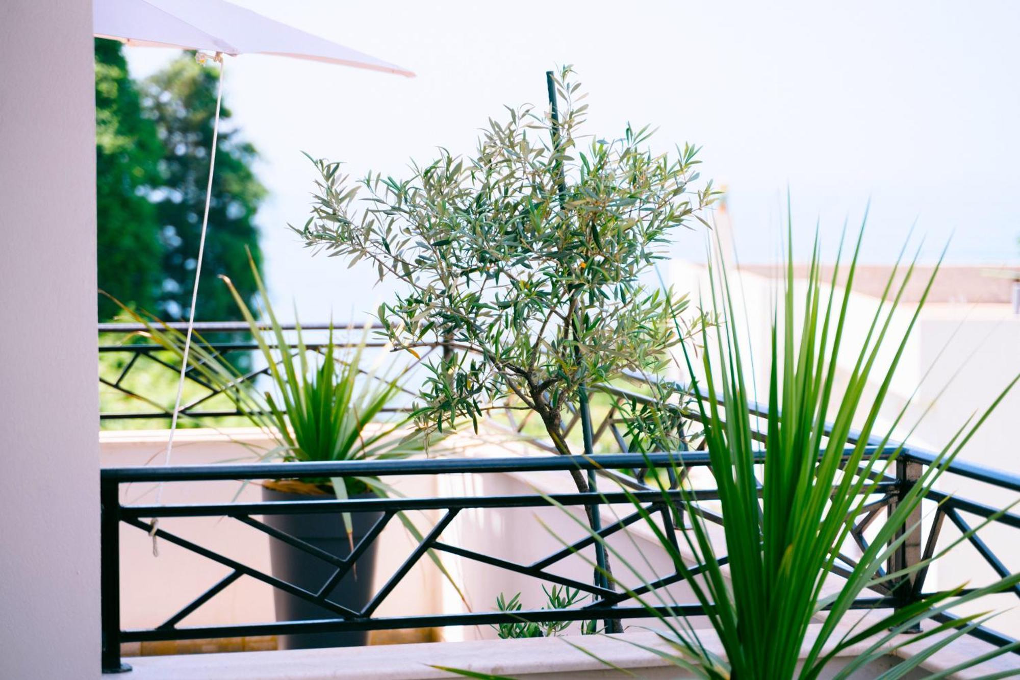 Apartments Lungo Mare Ulcinj Luaran gambar